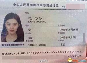 最新通行证爆料新闻稿,揭秘通行证新规与实施细节