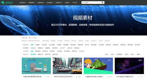 爆料类型的视频素材,视频素材背后的惊人真相 第2张 爆料类型的视频素材,视频素材背后的惊人真相 第2张